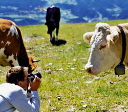 stock photography